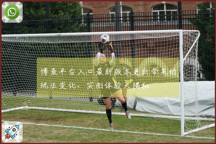 博鱼平台入口最新版本更新带来的玩法变化，实测体验大揭秘